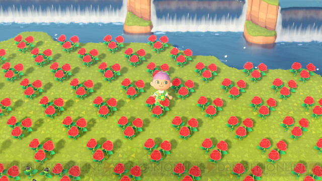 エリアに合わせていろいろな花を植えてみた あつ森日記 133 電撃オンライン ゲーム アニメ ガジェットの総合情報サイト