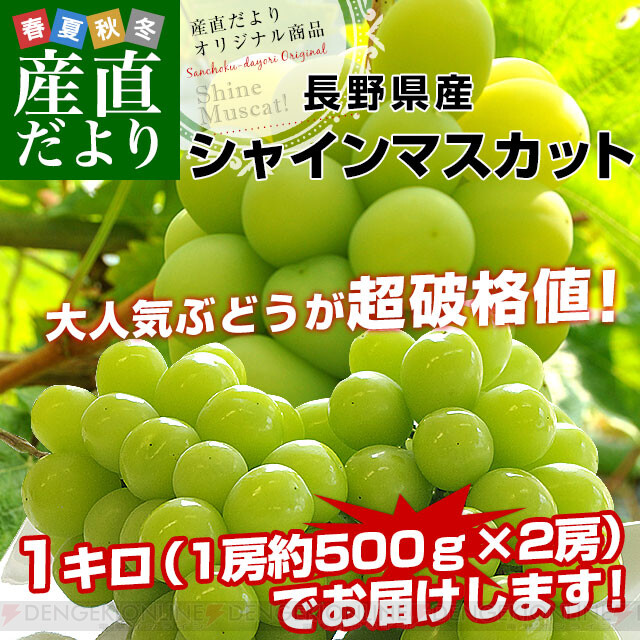 長野県産の大粒『シャインマスカット』が2房で3,980円、3房で5,800円