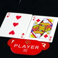 “パラダイスシティ”