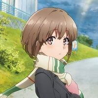 『青春ブタ野郎はおでかけシスターの夢を見ない』