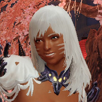 『モンスターハンターライズ』