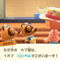 『あつ森』カブで儲ける