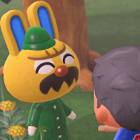 『あつまれ どうぶつの森』