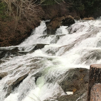 『ドラゴンクエストウォーク』