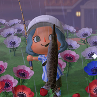 『あつ森』6月のサカナ