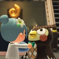 あつ森フータ解説