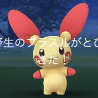 『ポケモンGO』