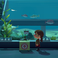 『あつ森』国際ミュージアムデー