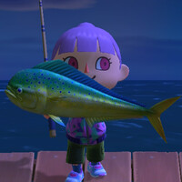 『あつ森』10月のサカナ