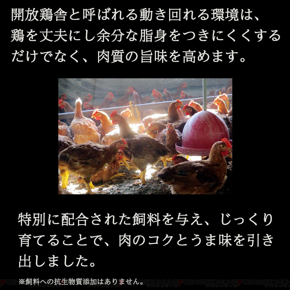 画像6 9 晩酌のお供に 国産ブランド鶏の 伊達鶏の唐揚げ が半額セール中 電撃オンライン ゲーム アニメ ガジェットの総合情報サイト