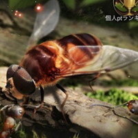 『ザ・アンツ』