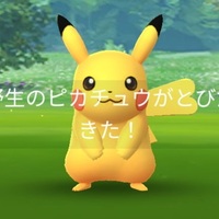 『ポケモンGO』