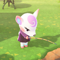 『あつ森』どうぶつのアクション