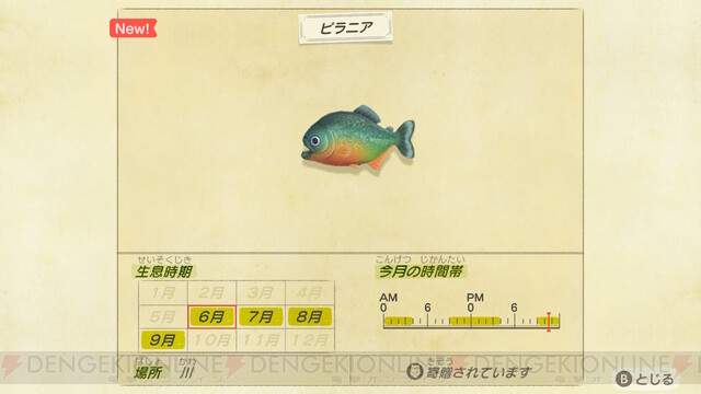 6月に釣っておきたいサカナをいきもの図鑑で調べてみた あつ森日記 95 電撃オンライン ゲーム アニメ ガジェットの総合情報サイト