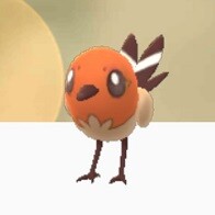 『ポケモンGO』