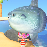 『あつ森』7月のサカナ