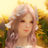 『LOST ARK（ロストアーク）』