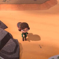 あつ森_2月のムシ